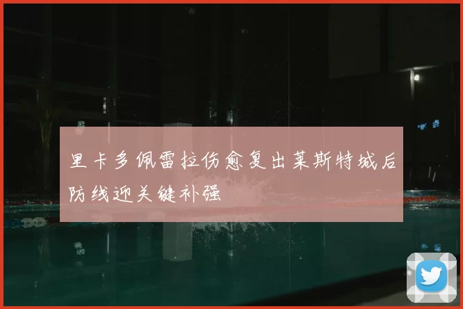 里卡多佩雷拉伤愈复出莱斯特城后防线迎关键补强