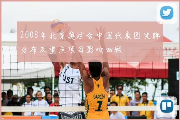 2008年北京奥运会中国代表团奖牌分布及重点项目影响回顾