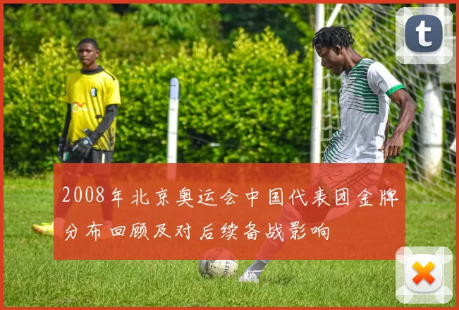 2008年北京奥运会中国代表团金牌分布回顾及对后续备战影响